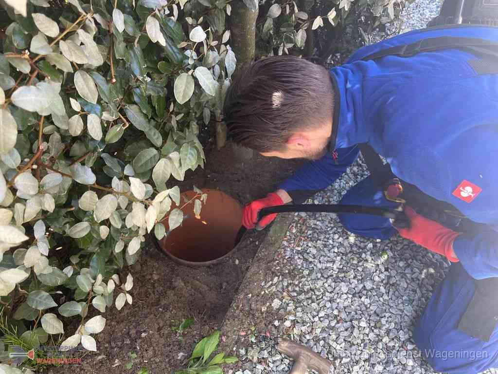Rioolvliegjes Wageningen Rioolvliegjes Wageningen